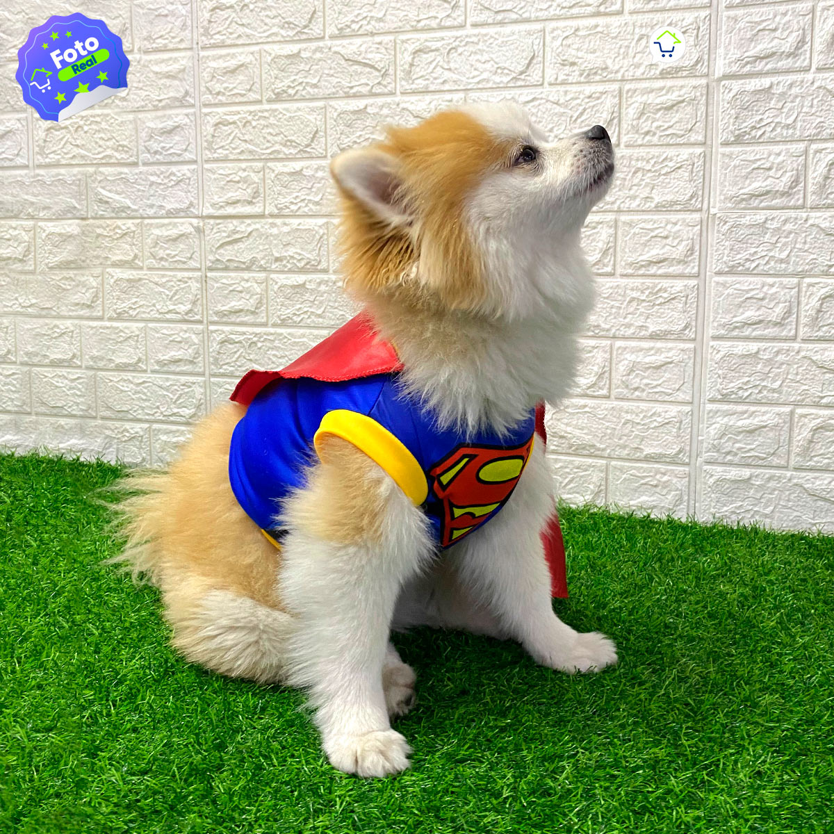 SuperPet™ | Disfraz de Superman para Mascotas