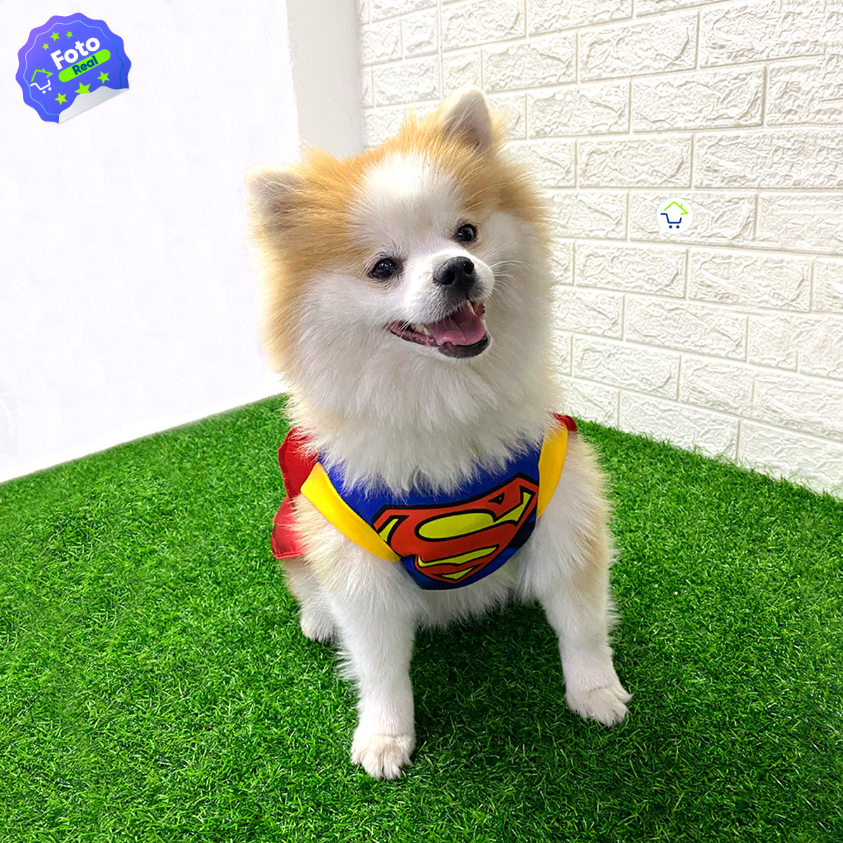 SuperPet™ | Disfraz de Superman para Mascotas