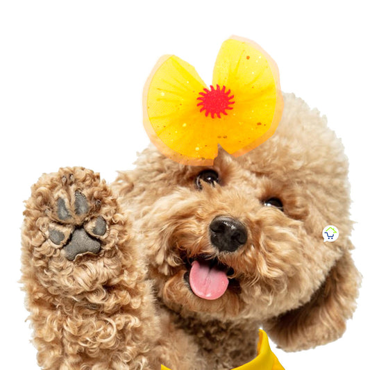 BellaPet™ | Disfraz de Princesa Bella para Mascotas