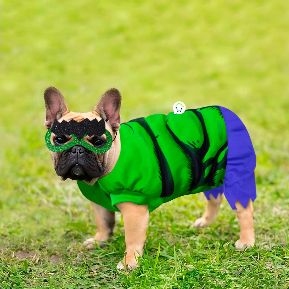 HulkPet™ | Disfraz de Hulk para Mascotas