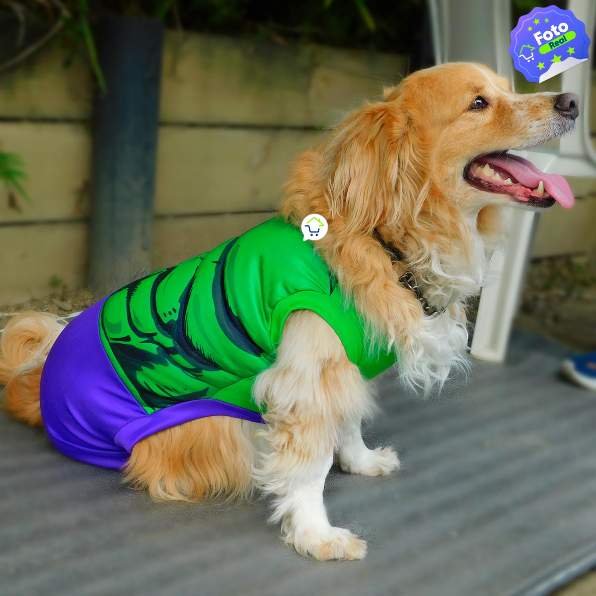 HulkPet™ | Disfraz de Hulk para Mascotas