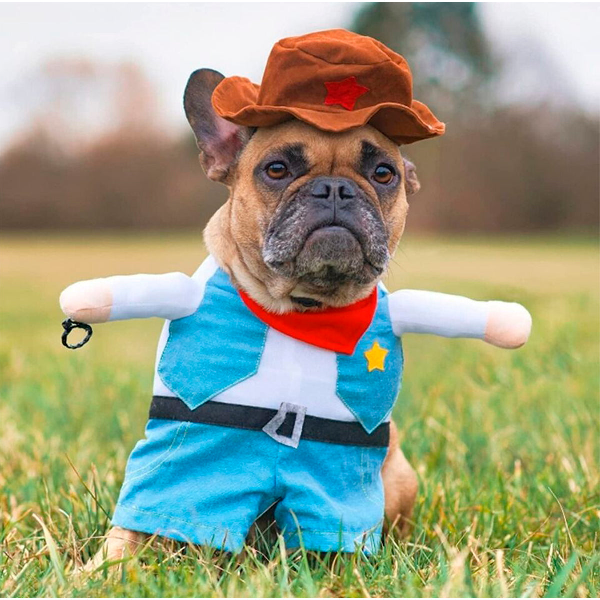 CowboyPet™ | Disfraz de Vaquero para Mascotas