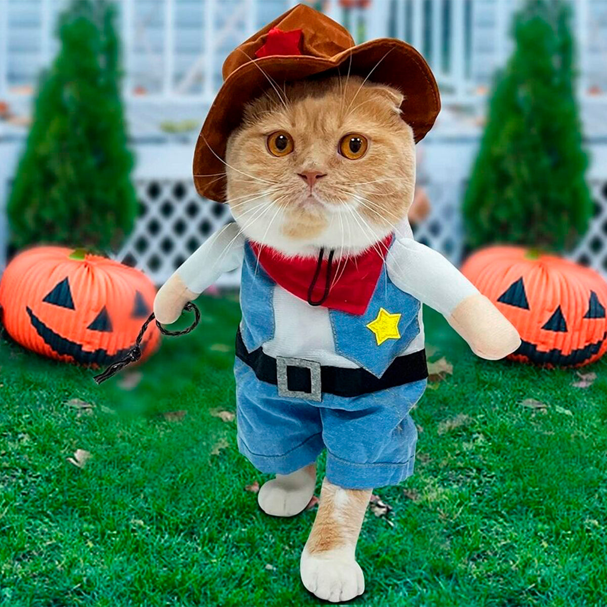 CowboyPet™ | Disfraz de Vaquero para Mascotas