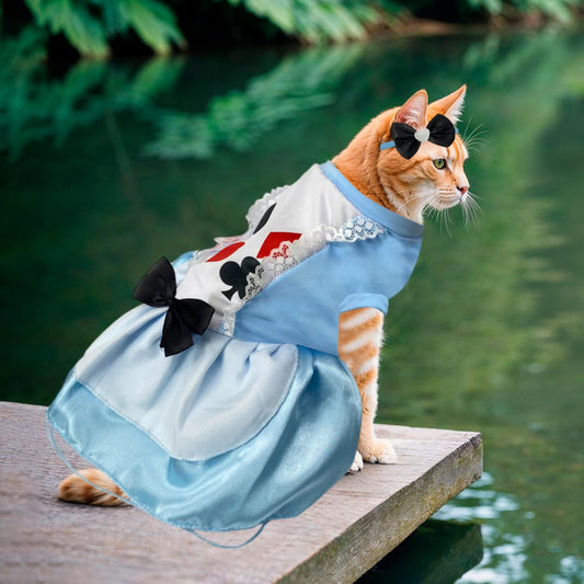 AliciaPet™ | Disfraz de Alicia para Mascotas