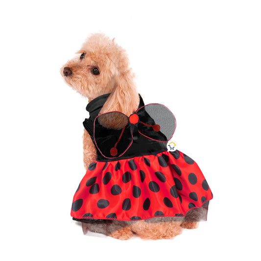 LadyPet™ | Disfraz de Mariquita para Mascotas