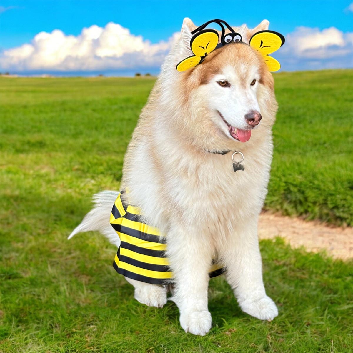 BeePet™ | Disfraz de Abeja para Mascotas