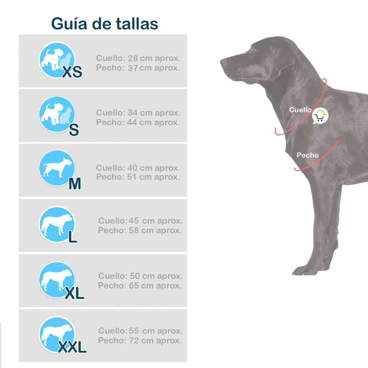 AliciaPet™ | Disfraz de Alicia para Mascotas
