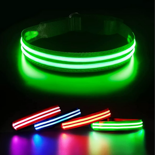 LumiPaws™ | Combo Guante Quita Pelos + Collar LED