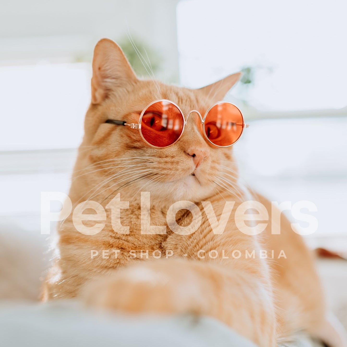 CatStyle™ | Gafas de Sol para Gatos con Estilo