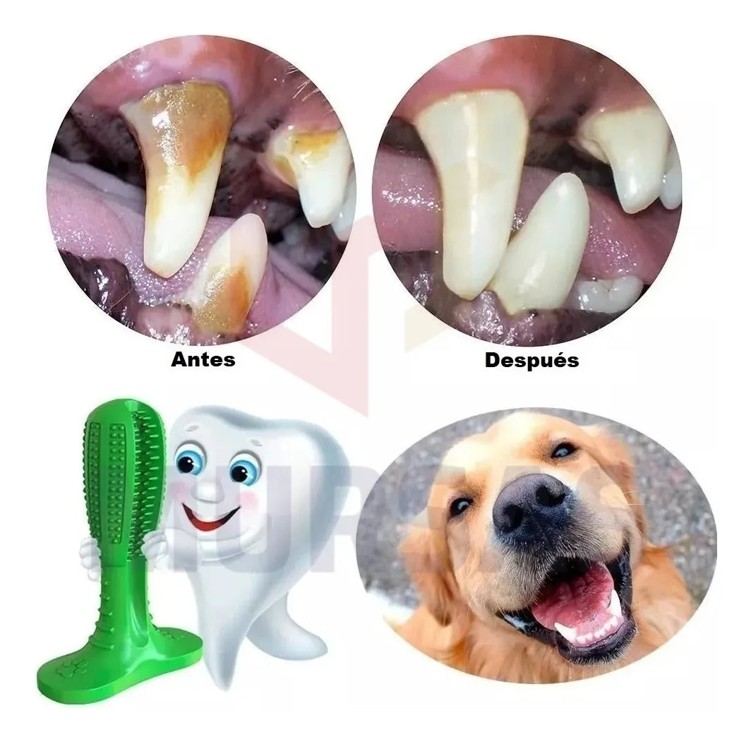AquaDent™ | Combo Dental + Bebedero Portátil