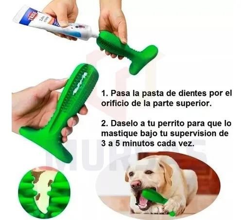 AquaDent™ | Combo Dental + Bebedero Portátil