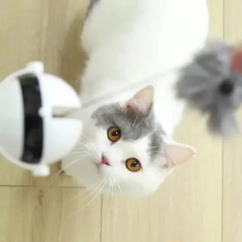 YoyoCat™ | Yoyo Electrónico para Gatos