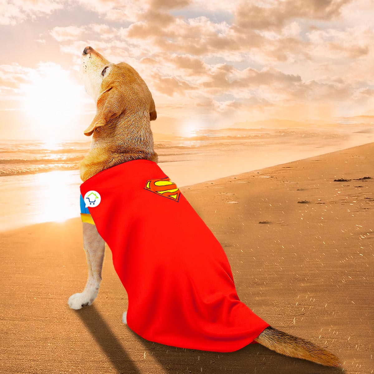 SuperPet™ | Disfraz de Superman para Mascotas