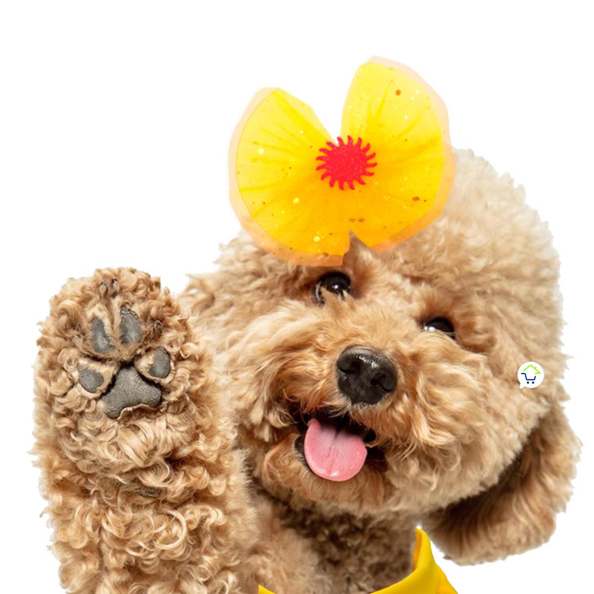 BellaPet™ | Disfraz de Princesa Bella para Mascotas