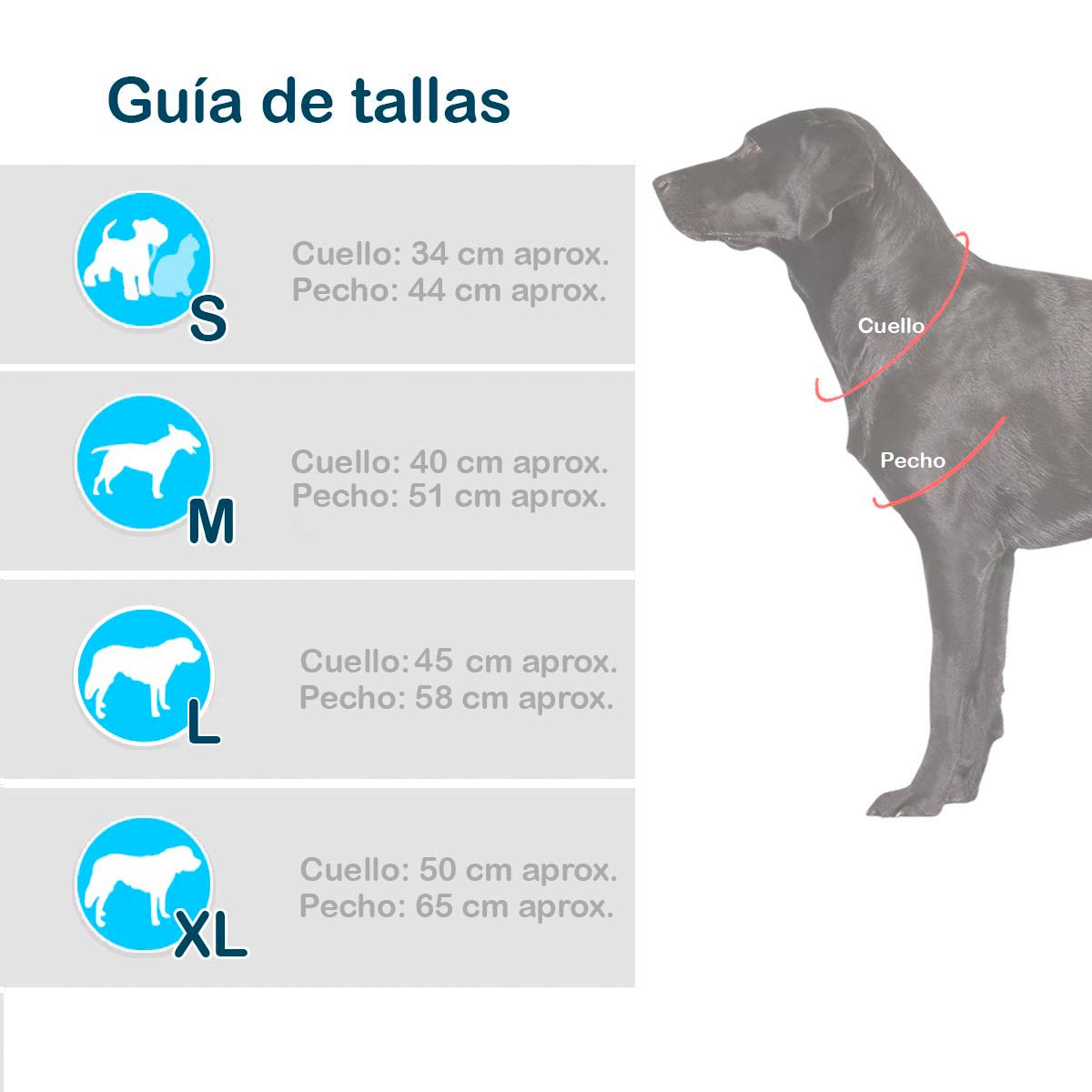 BellaPet™ | Disfraz de Princesa Bella para Mascotas