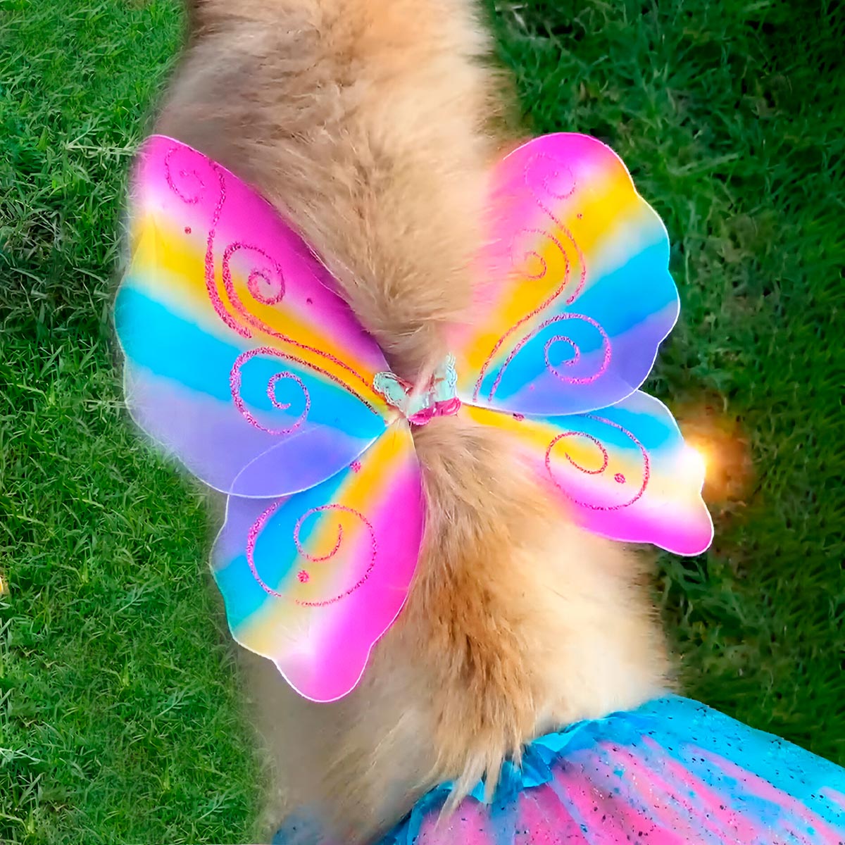 ButterflyPet™ | Disfraz de Hada Mariposa para Perros