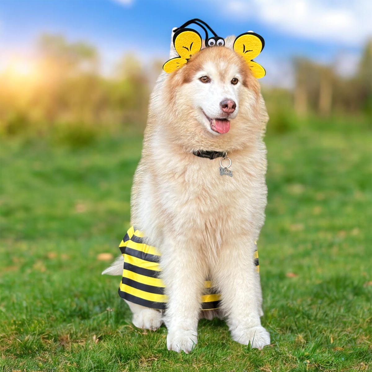 BeePet™ | Disfraz de Abeja para Mascotas