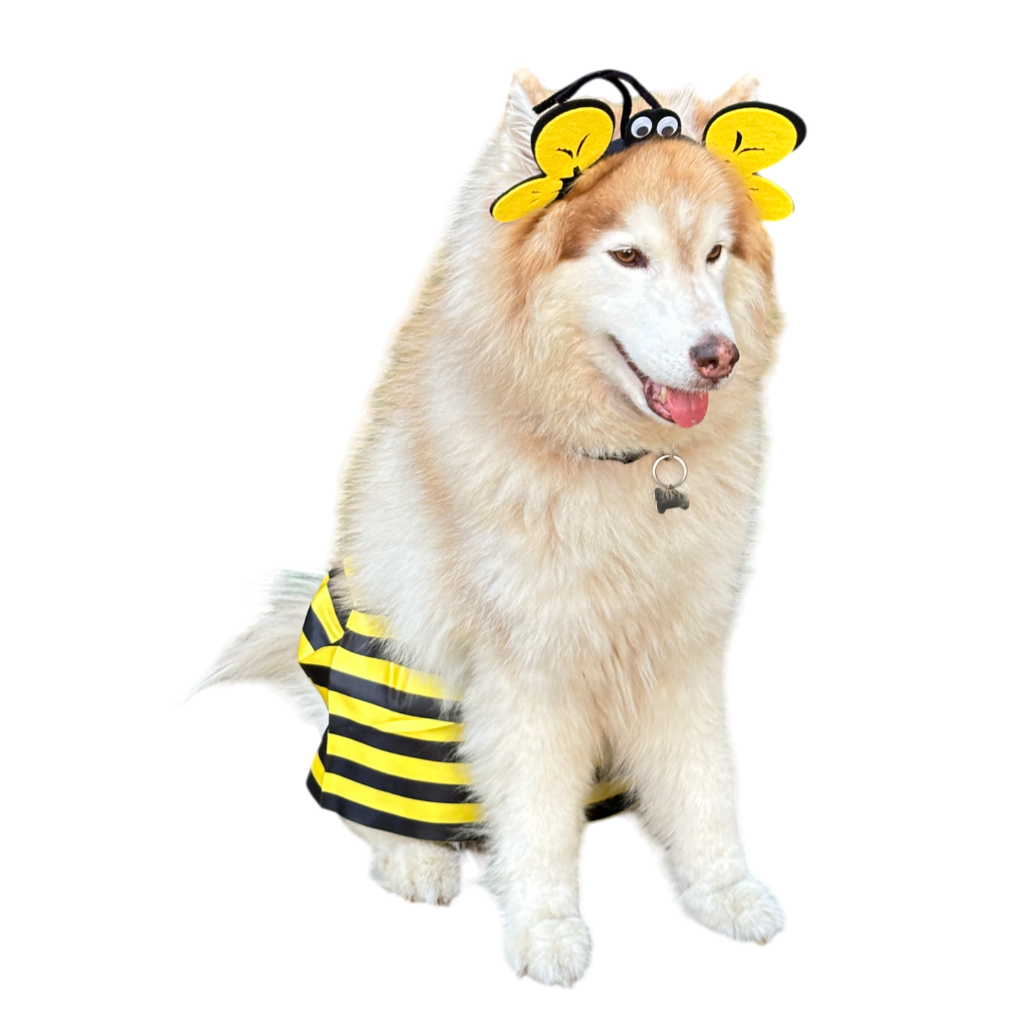BeePet™ | Disfraz de Abeja para Mascotas