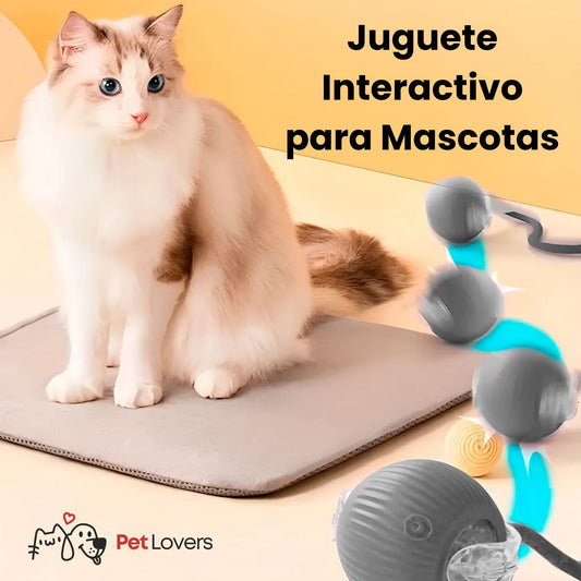 BallPet™ | Pelota Interactiva para Mascotas