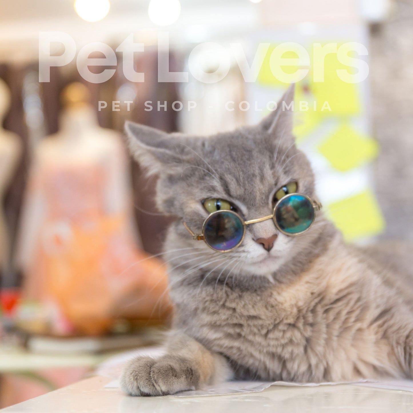 CatStyle™ | Gafas de Sol para Gatos con Estilo