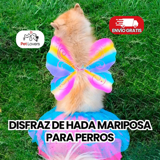 ButterflyPet™ | Disfraz de Hada Mariposa para Perros