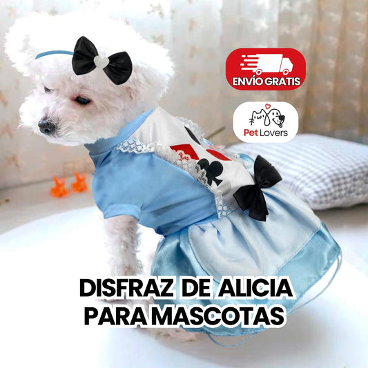 AliciaPet™ | Disfraz de Alicia para Mascotas