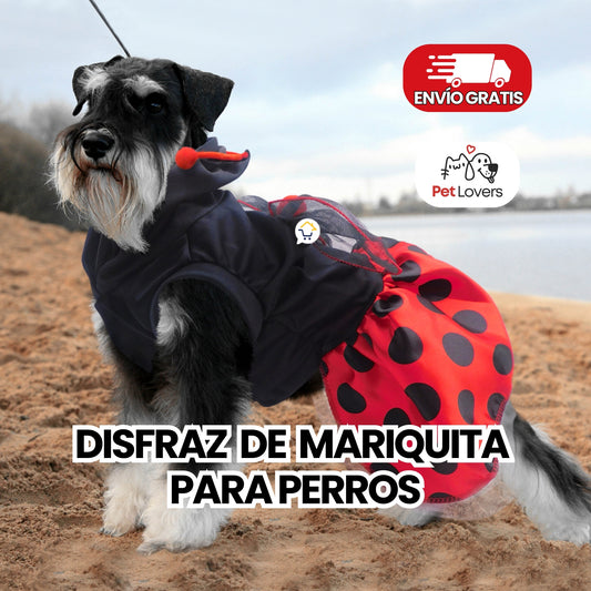LadyPet™ | Disfraz de Mariquita para Mascotas