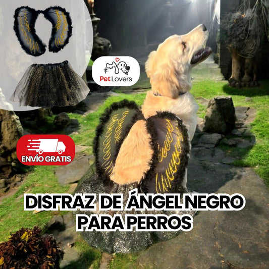 DarkAngelPet™ | Disfraz Ángel Negro para Mascotas