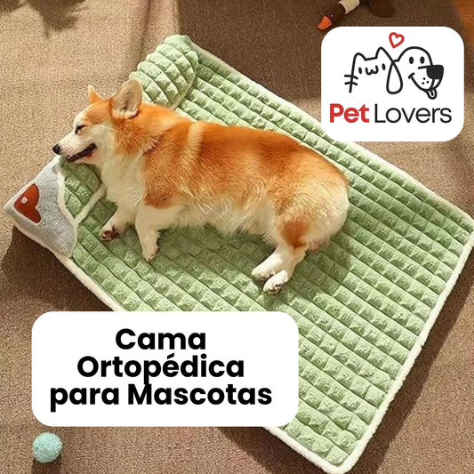 PetDream™ | Cama Ortopédica Deluxe para Mascotas