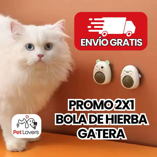 PROMO 2X1 LamiCat™ | Hierba Gatera en Esfera