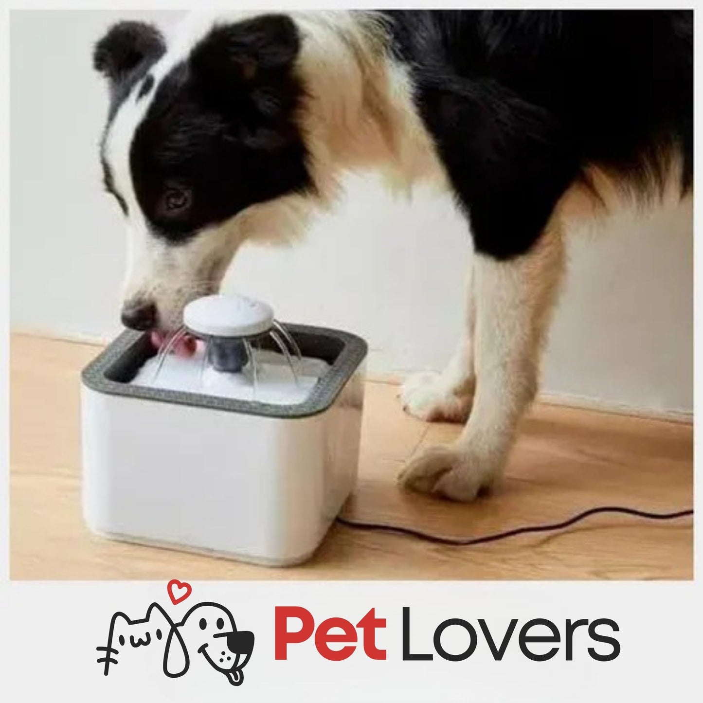 HydraPet™ | Fuente de Agua Inteligente para Mascotas