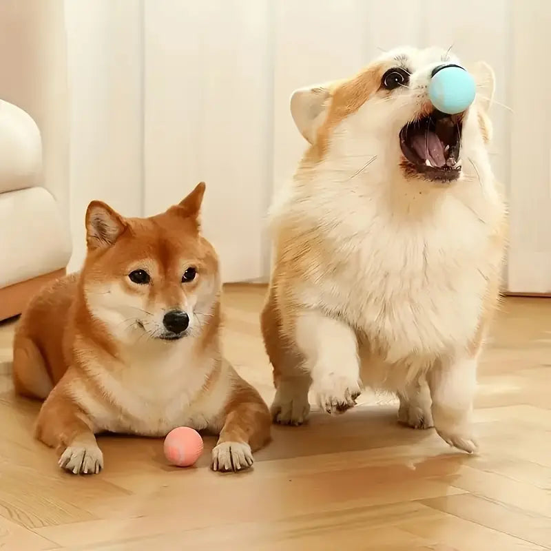 MeowBall™ | Pelota Recargable Interactiva para Gatos