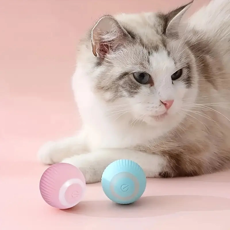 MeowBall™ | Pelota Recargable Interactiva para Gatos